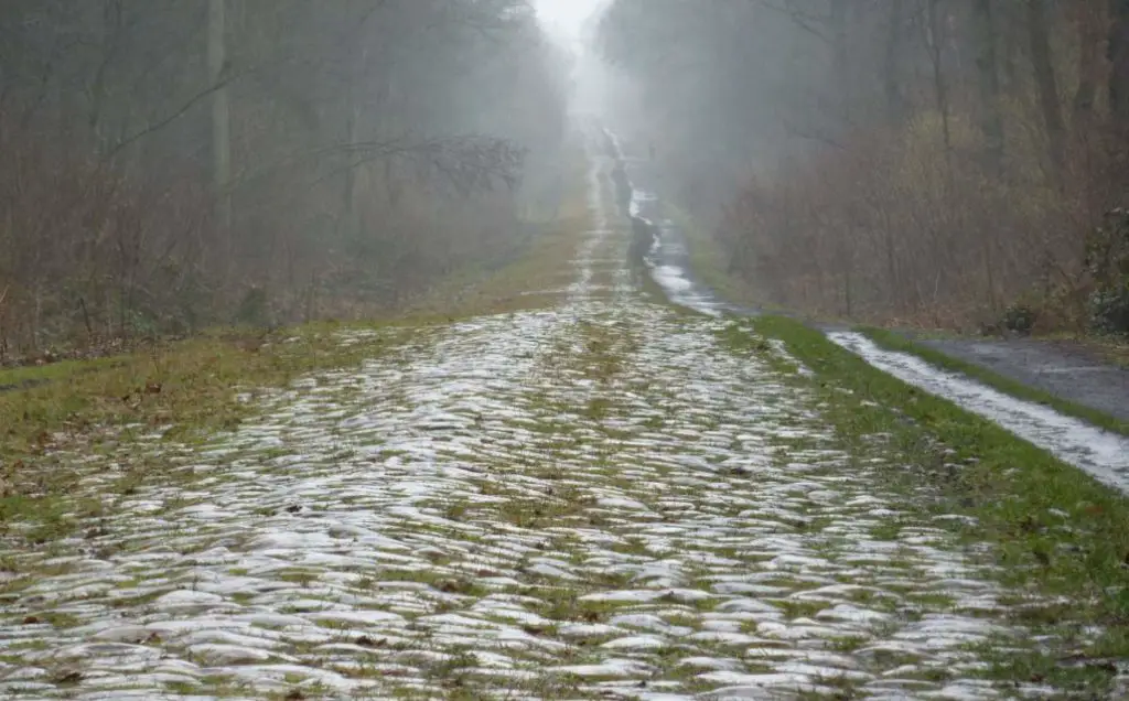 Paris-Roubaix 2015 Route and Cobbled sectors - Arenberg Forest