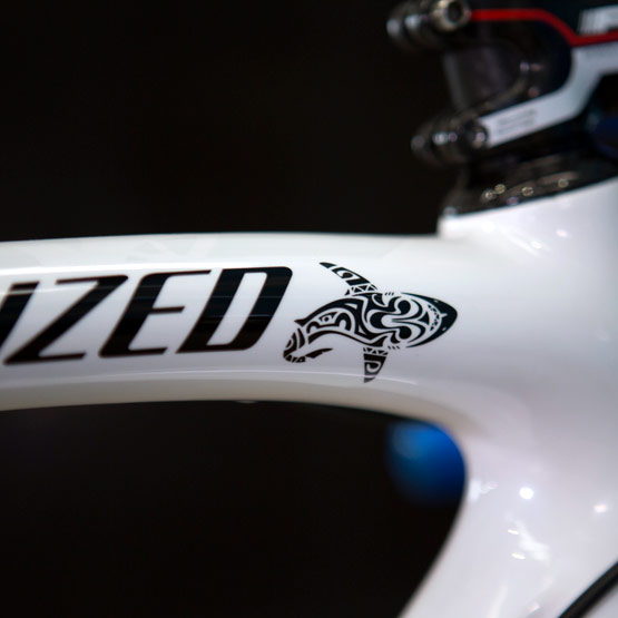 Specialized S-Works Tarmac 2014 Nibali Edition Frameset details: "The Shark" on the top tube