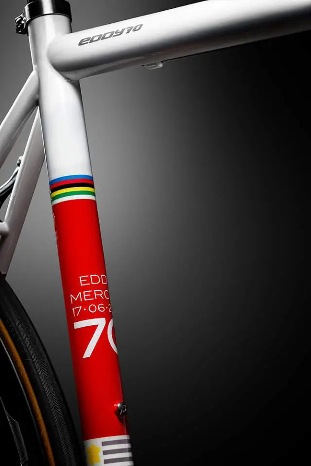 Eddy70 bike seat tube