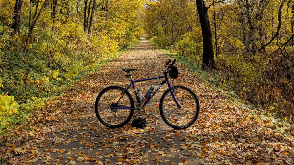 Rest days are crucial for cyclists: Mtb in a forest in autumn.