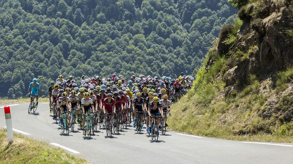 The Peloton during the Tour de France 2015
