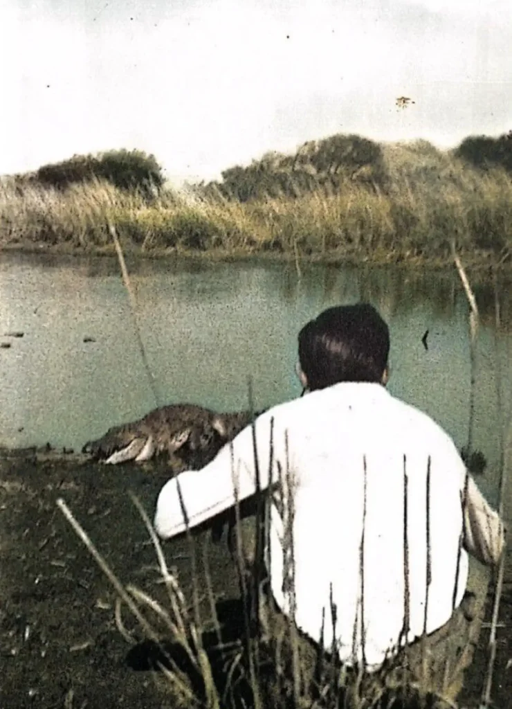 Fausto Coppi in Africa with a Crocodile